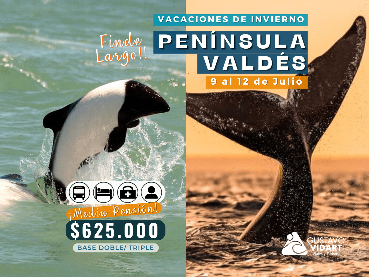 Salida Grupal Peninsula Valdez Julio 2026 - imagen 1